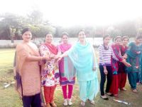 Diwali Celebration